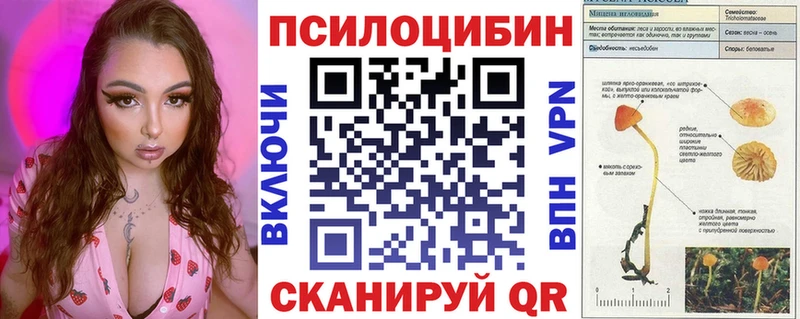 Купить  Кольчугино  Галлюциногенные грибы мицелий 
