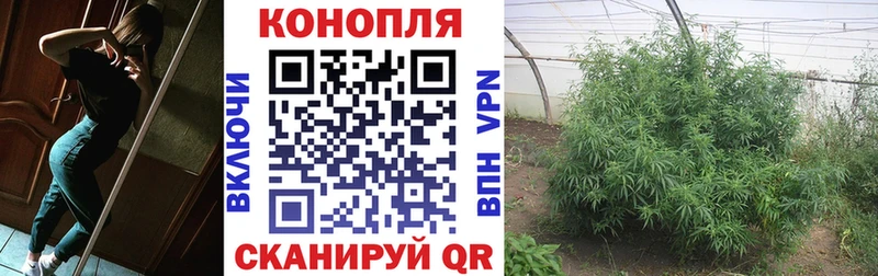 МАРИХУАНА сатива  Купить  Кольчугино 